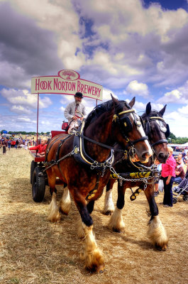 Hook Norton Brewery Shire Horses
