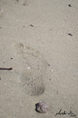 Foot Step