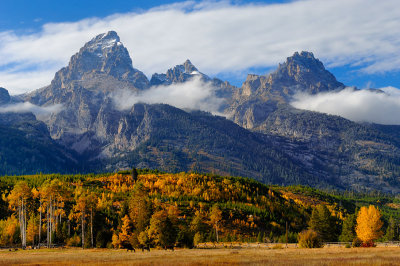 Teton Meadows.jpg