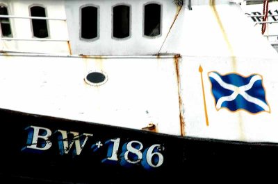All Things Boats...Dockside