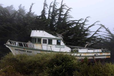 All Things Boats...Dockside