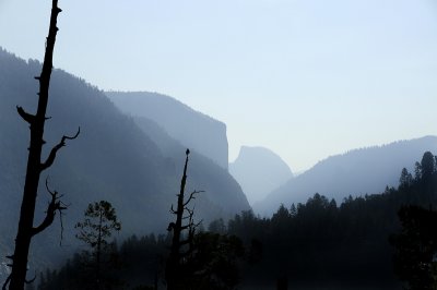 Raven in Judgement  - Yosemite Valley