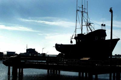 All Things Boats...Dockside