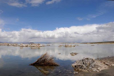 Mono Lake Shoreline