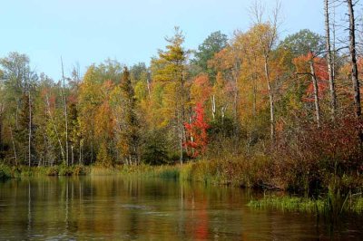 On Marl Lake 40