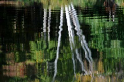On Marl Lake 56