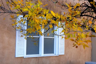 Santa Fe Autumn