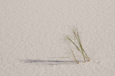White Sands National Monument