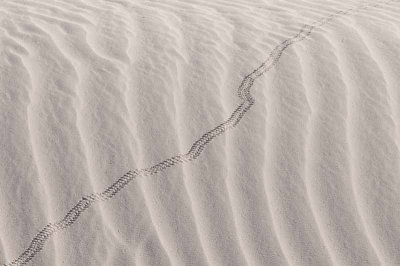 White Sands National Monument