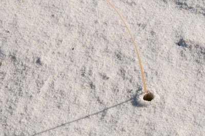 White Sands National Monument