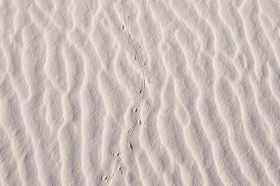 White Sands National Monument