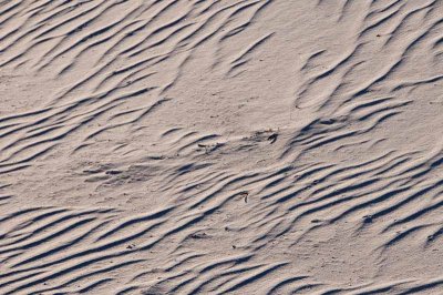 White Sands National Monument