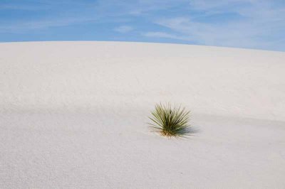 White Sands National Monument