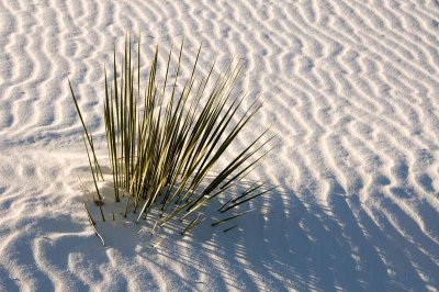 White Sands National Monument