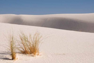 White Sands National Monument