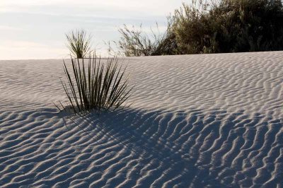 White Sands National Monument