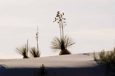 White Sands National Monument