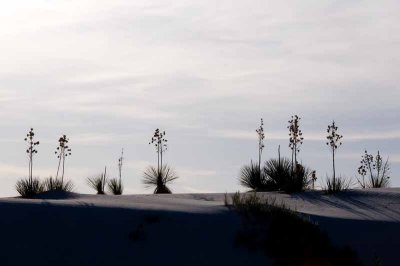 White Sands National Monument