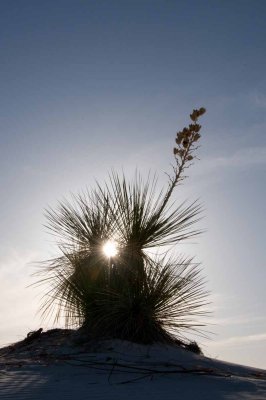 White Sands National Monument