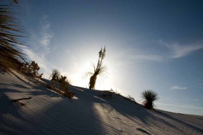 White Sands National Monument