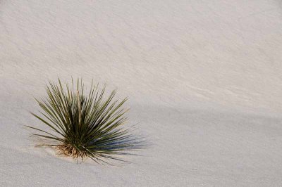 White Sands National Monument