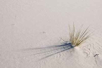 White Sands National Monument