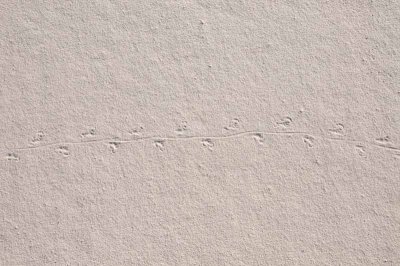 White Sands National Monument