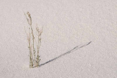 White Sands National Monument