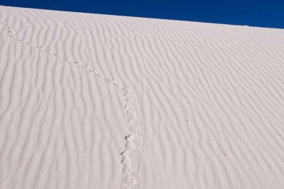 White Sands National Monument