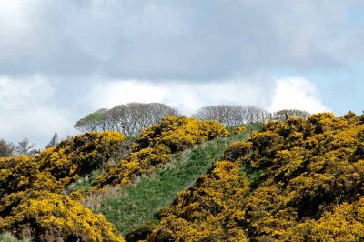 Lake District, Skye, Edinburgh  98.jpg