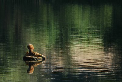 Artful Tubing
