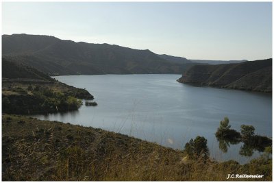 L'Ebro paradis des silures
