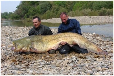 Claude avec un ppre de 2.45 m ...
