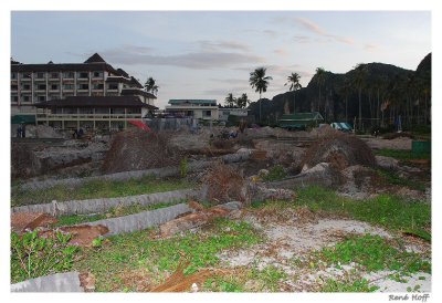 Plaies du Tsunami à Koh Phi Phi