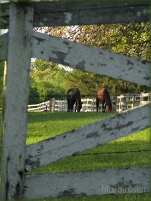 Rural America