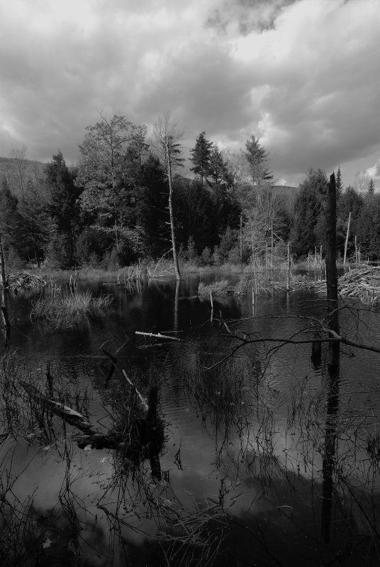 _DSC7312nx.jpg