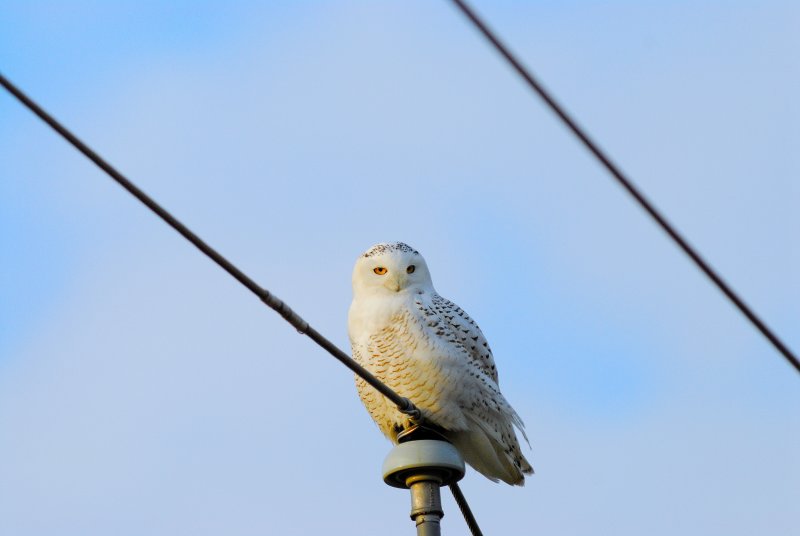 D2B_5561nx.jpg