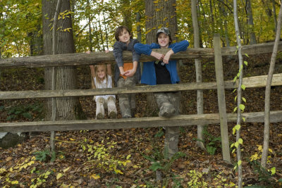 all three on the fence