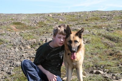 Sigurjn German Shepherd Dog