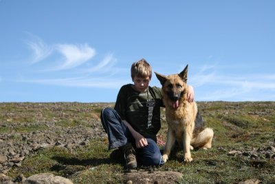 Sigurjn German Shepherd Dog