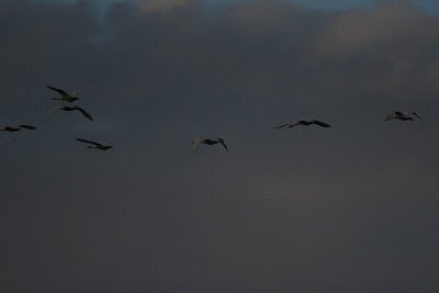 IMG_5218.JPG