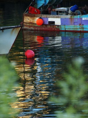 Boats 1.jpg