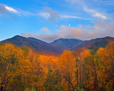 Moonrise
