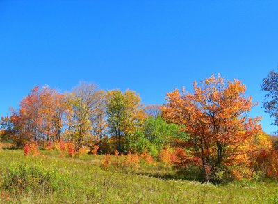 nature