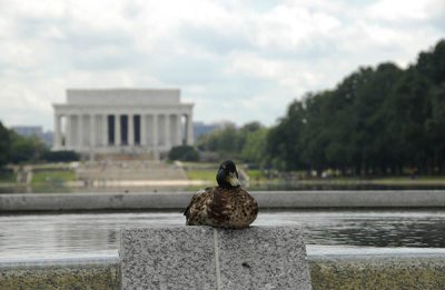 Ken Hales: World War II Memorial