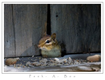 Peek-a-boo