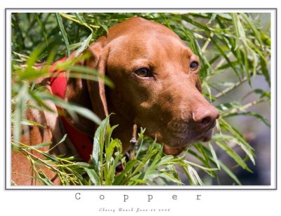 Copper