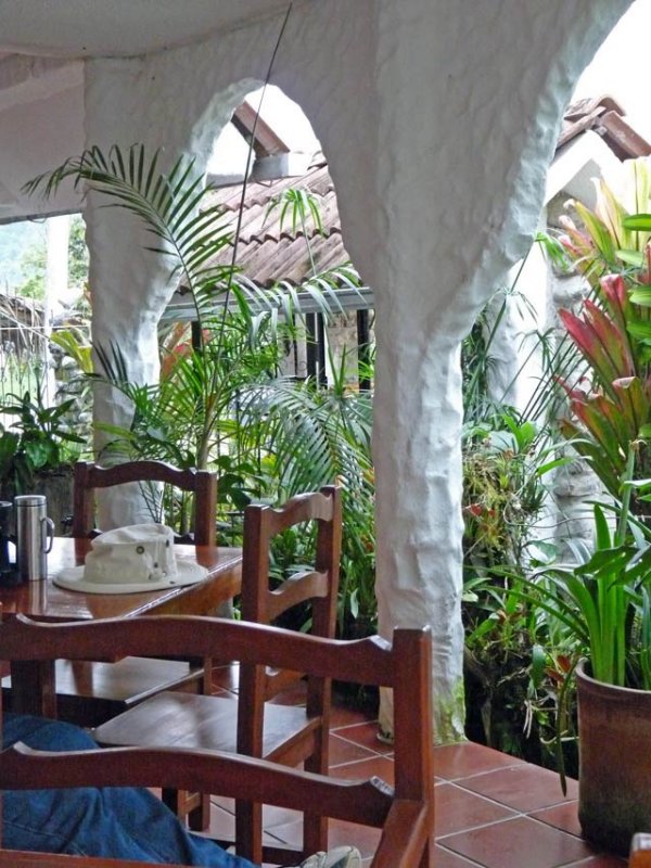 Our favourite table .... overlooking the spectacular Bird of Paradise. It was frequently visited by hummingbirds.