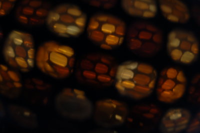Lantern