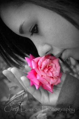 Coming Up Roses